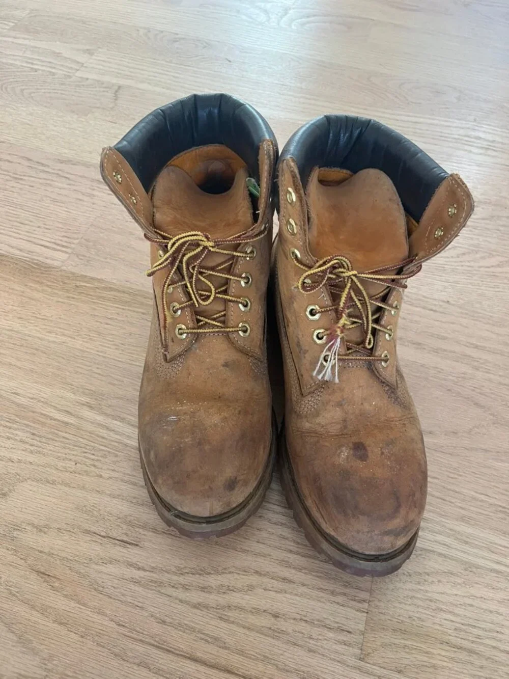 Timberland 6-Inch Premium Waterproof Boots Men's 9.5 Wheat